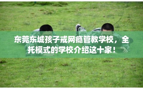 东莞东城孩子戒网瘾管教学校，全托模式的学校介绍这十家！