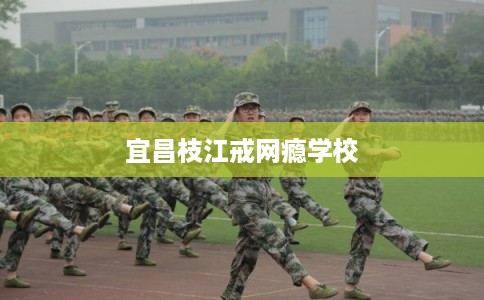 宜昌枝江戒网瘾学校