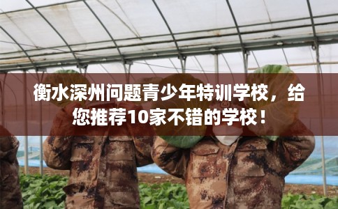 衡水深州问题青少年特训学校，给您推荐10家不错的学校！