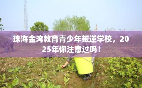 珠海金湾教育青少年叛逆学校，2025年你注意过吗！