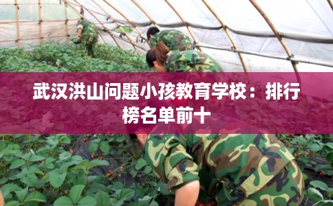 武汉洪山问题小孩教育学校：排行榜名单前十