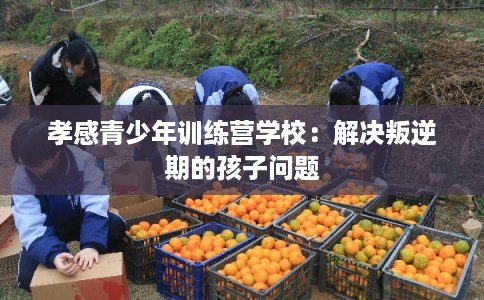 孝感青少年训练营学校：解决叛逆期的孩子问题