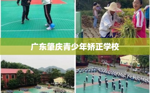 广东肇庆青少年矫正学校