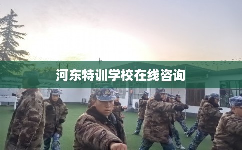 河东特训学校在线咨询