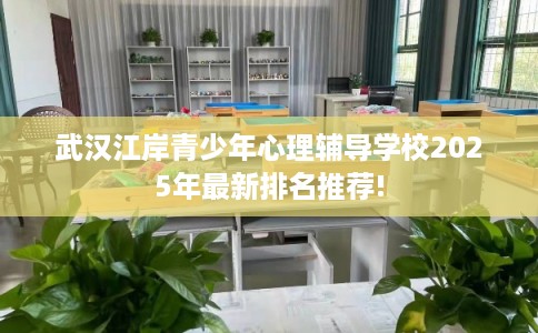 武汉江岸青少年心理辅导学校2025年最新排名推荐!