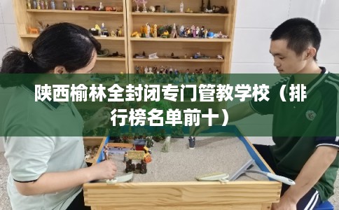 陕西榆林全封闭专门管教学校(排行榜名单前十) 陕西榆林全封闭专门管教学校(排行榜名单前十)