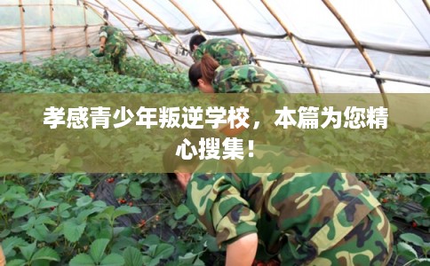 孝感青少年叛逆学校，本篇为您精心搜集！