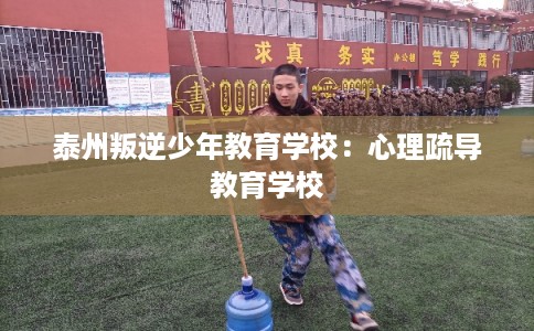 泰州叛逆少年教育学校：心理疏导教育学校