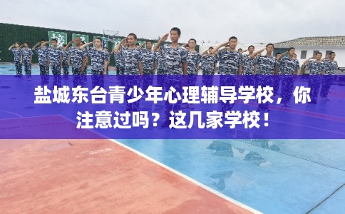 盐城东台青少年心理辅导学校，你注意过吗？这几家学校！