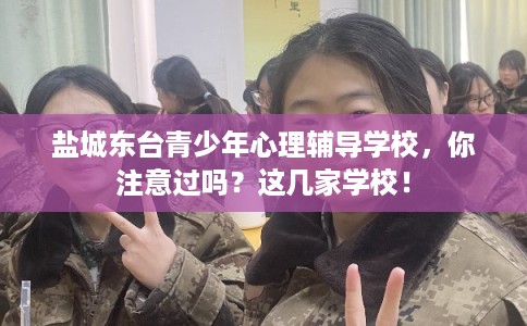 盐城东台青少年心理辅导学校，你注意过吗？这几家学校！