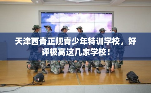 天津西青正规青少年特训学校，好评极高这几家学校！