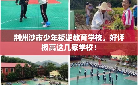 荆州沙市少年叛逆教育学校，好评极高这几家学校！