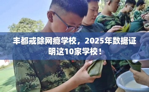 丰都戒除网瘾学校，2025年数据证明这10家学校！