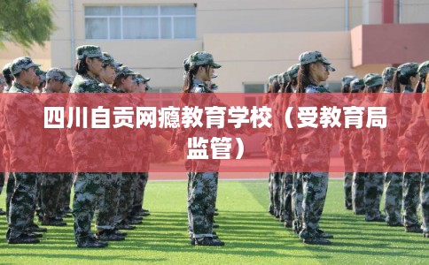 四川自贡网瘾教育学校（受教育局监管）