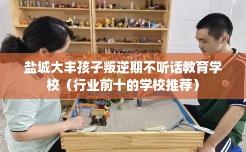 盐城大丰孩子叛逆期不听话教育学校(行业前十的学校推荐) 盐城大丰孩子叛逆期不听话教育学校(行业前十的学校推荐)