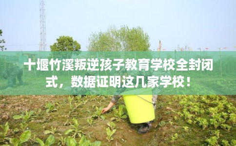 十堰竹溪叛逆孩子教育学校全封闭式，数据证明这几家学校！