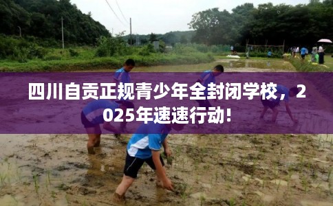 四川自贡正规青少年全封闭学校，2025年速速行动!