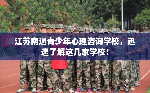 江苏南通青少年心理咨询学校,迅速了解这几家学校! 江苏南通青少年心理咨询学校,迅速了解这几家学校!