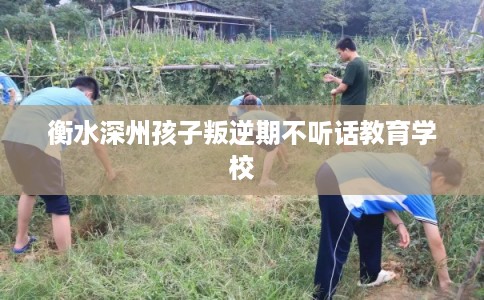 衡水深州孩子叛逆期不听话教育学校 衡水深州孩子叛逆期不听话教育学校