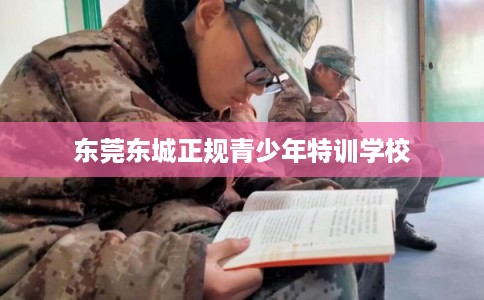 东莞东城正规青少年特训学校
