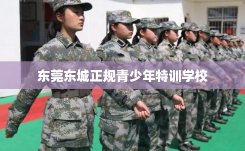 东莞东城正规青少年特训学校