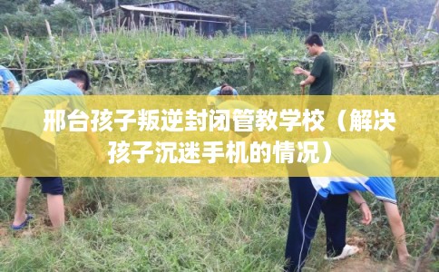 邢台孩子叛逆封闭管教学校(解决孩子沉迷手机的情况) 邢台孩子叛逆封闭管教学校(解决孩子沉迷手机的情况)