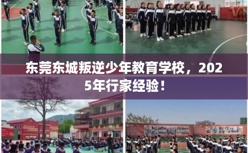 东莞东城叛逆少年教育学校，2025年行家经验！