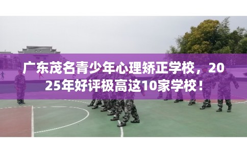 广东茂名青少年心理矫正学校，2025年好评极高这10家学校！