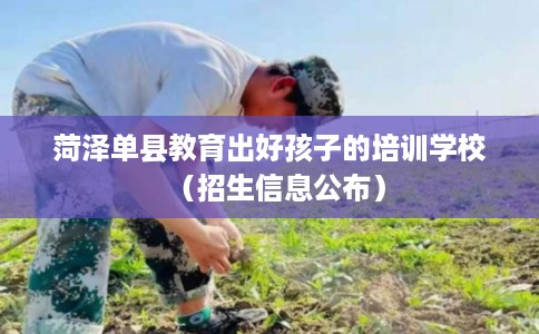 菏泽单县教育出好孩子的培训学校（招生信息公布）