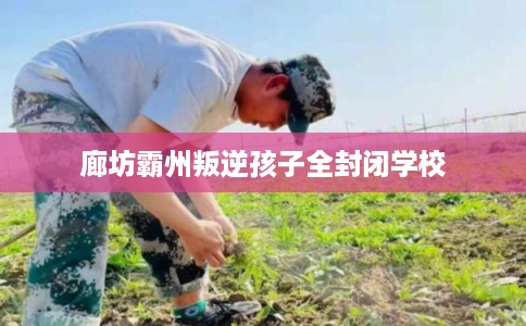 廊坊霸州叛逆孩子全封闭学校 廊坊霸州叛逆孩子全封闭学校