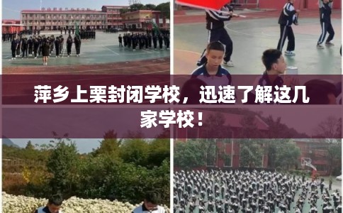 萍乡上栗封闭学校，迅速了解这几家学校！