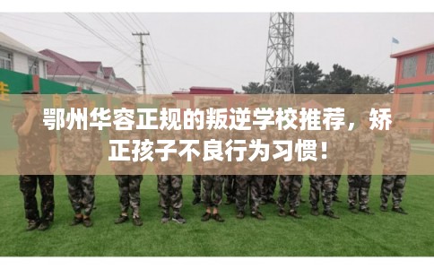 鄂州华容正规的叛逆学校推荐，矫正孩子不良行为习惯！