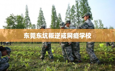 东莞东坑叛逆戒网瘾学校