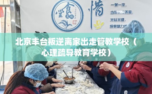 北京丰台叛逆离家出走管教学校（心理疏导教育学校）