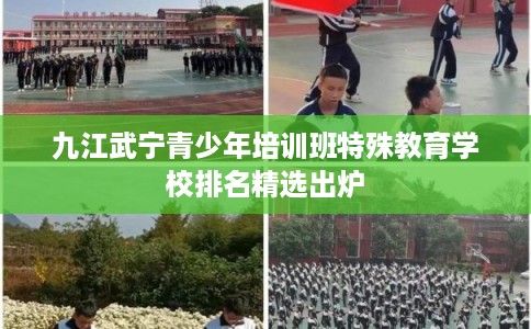 九江武宁青少年培训班特殊教育学校排名精选出炉