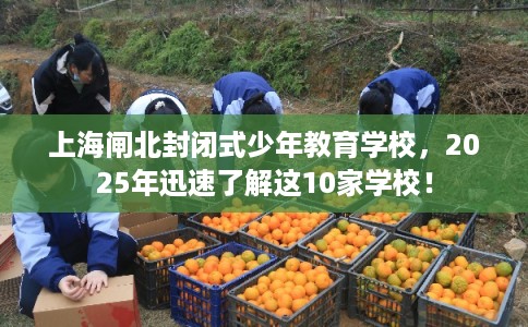 上海闸北封闭式少年教育学校，2025年迅速了解这10家学校！