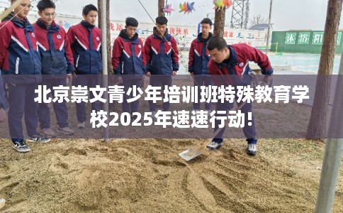 北京崇文青少年培训班特殊教育学校2025年速速行动!