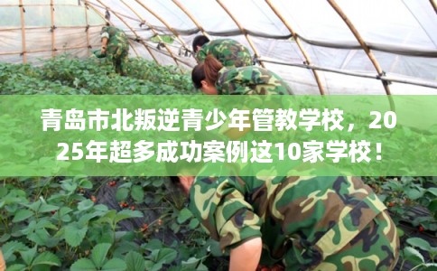 青岛市北叛逆青少年管教学校，2025年超多成功案例这10家学校！