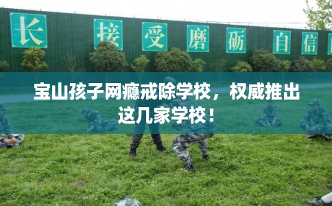 宝山孩子网瘾戒除学校，权威推出这几家学校！