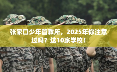 张家口少年管教所，2025年你注意过吗？这10家学校！