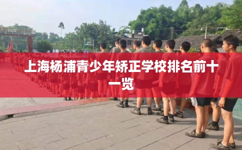 上海杨浦青少年矫正学校排名前十一览