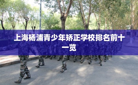 上海杨浦青少年矫正学校排名前十一览