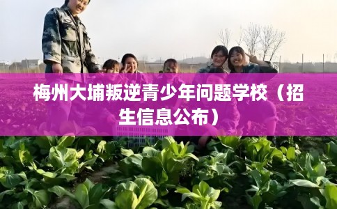 梅州大埔叛逆青少年问题学校(招生信息公布) 梅州大埔叛逆青少年问题学校(招生信息公布)