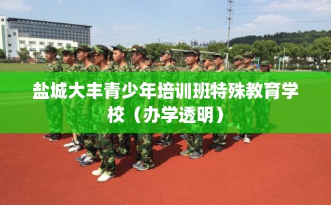 盐城大丰青少年培训班特殊教育学校（办学透明）