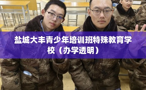 盐城大丰青少年培训班特殊教育学校（办学透明）