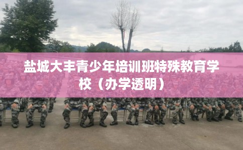 盐城大丰青少年培训班特殊教育学校（办学透明）