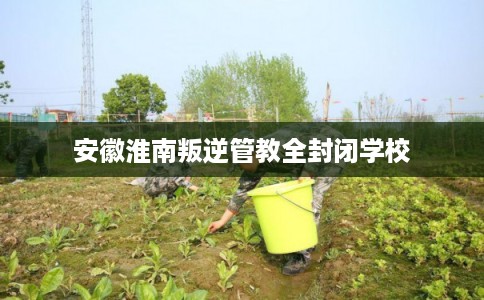 安徽淮南叛逆管教全封闭学校