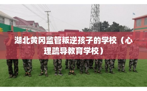 湖北黄冈监管叛逆孩子的学校(心理疏导教育学校) 湖北黄冈监管叛逆孩子的学校(心理疏导教育学校)