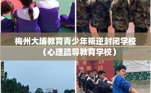 梅州大埔教育青少年叛逆封闭学校（心理疏导教育学校）