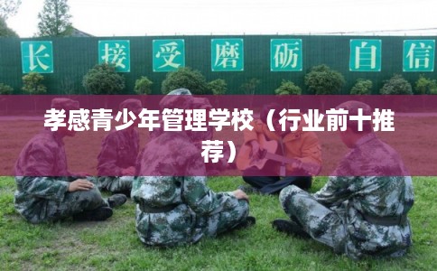 孝感青少年管理学校（行业前十推荐）